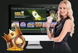 bet929